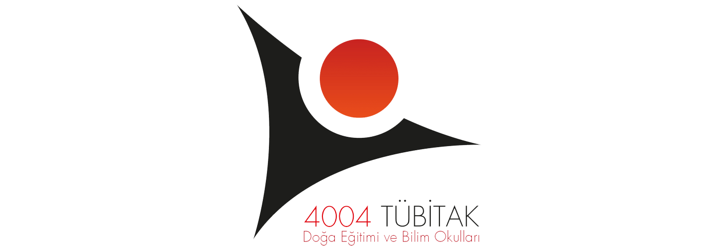 TÜBİTAK 4004